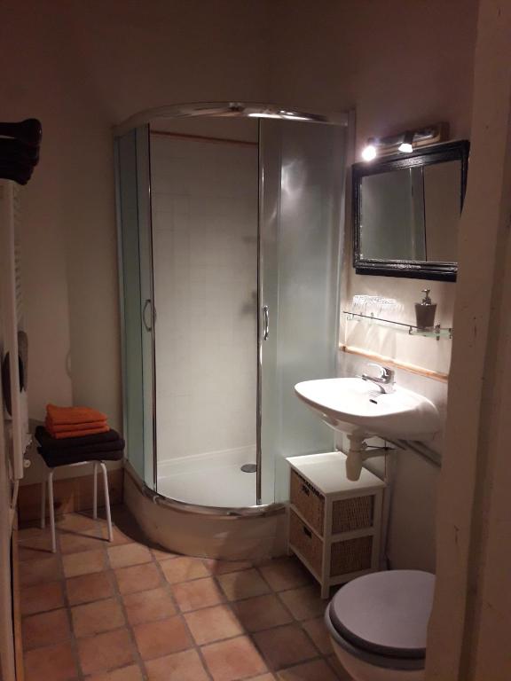 a bathroom with a shower and a sink at Chambres d'hôtes Belle Occitane in Tarascon-sur-Ariège