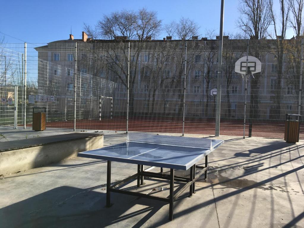 Stolný tenis v ubytovaní Alfa Hotel alebo v jeho okolí