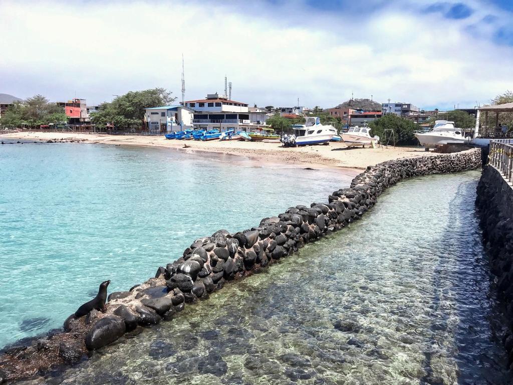 Fotografie z fotogalerie ubytování Mare Mio v destinaci Puerto Baquerizo Moreno