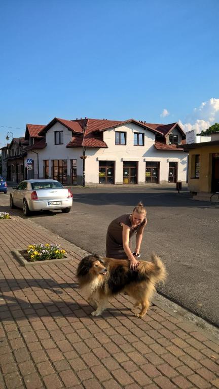 Una donna accarezza un cane per strada di Pokoje Optima a Uniejow