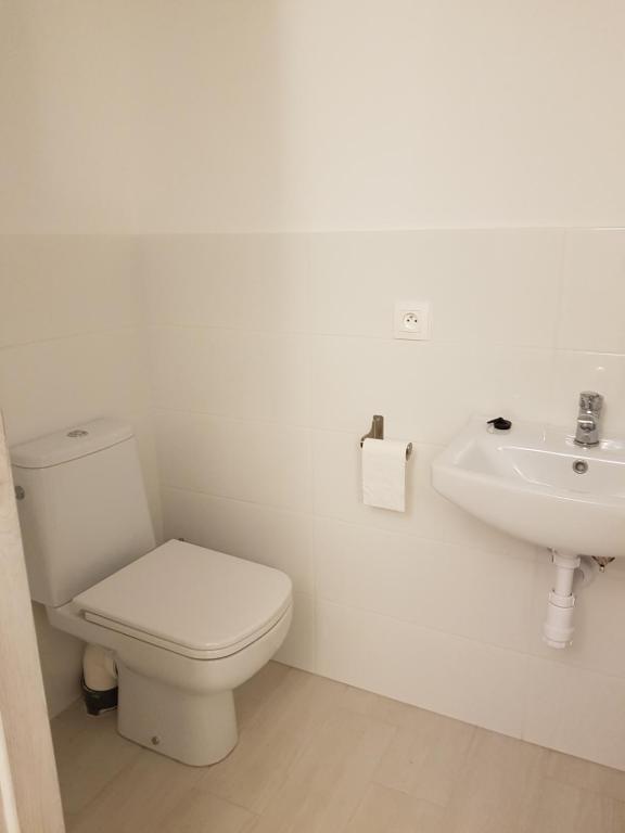 Kúpeľňa v ubytovaní Siedlisko Ostropest Karbowskie 9a