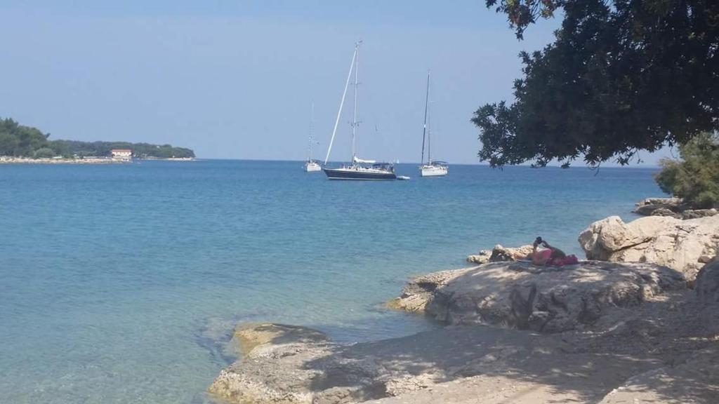Príroda v okolí apartmánu