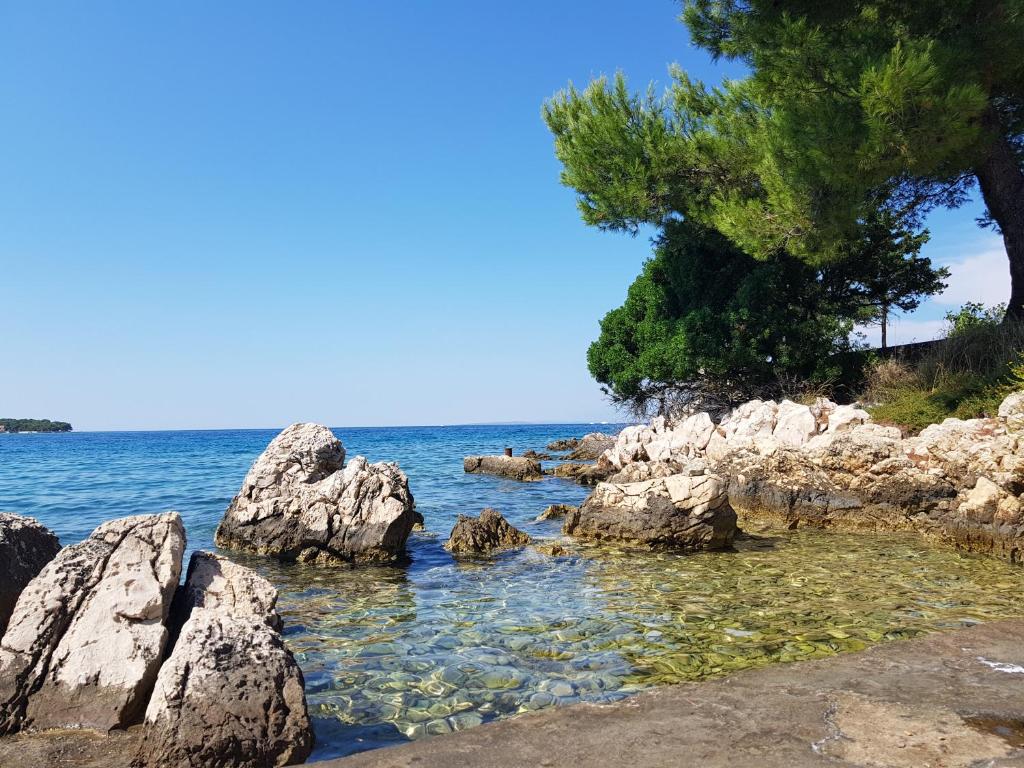 Príroda v okolí apartmánu