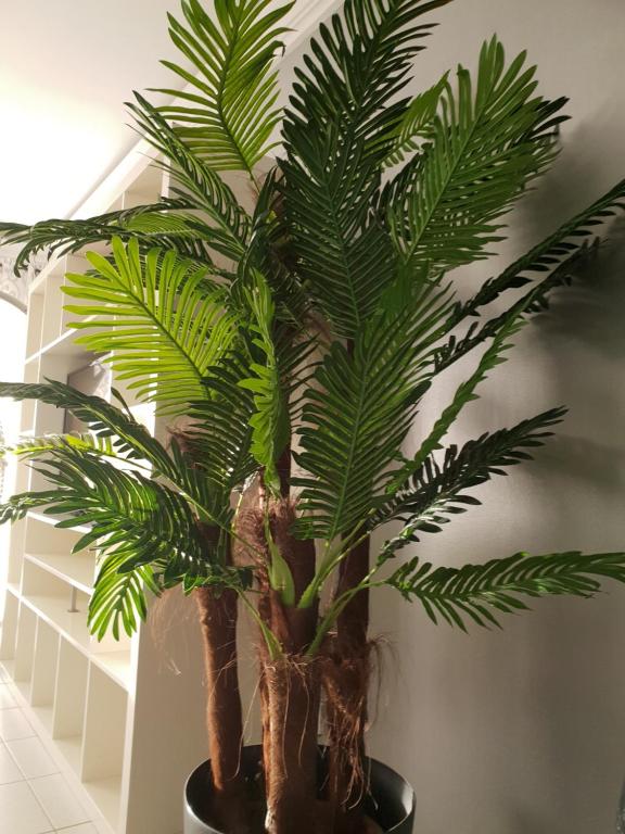 Préstige Holidays Alojamentos - 13