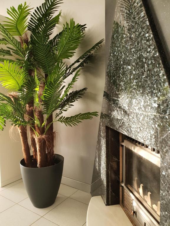 Préstige Holidays Alojamentos - 15