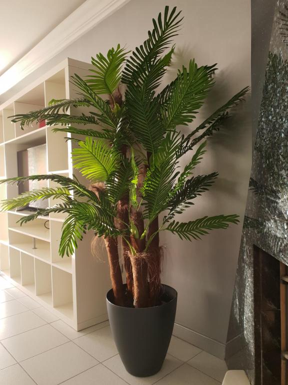 Préstige Holidays Alojamentos - 14