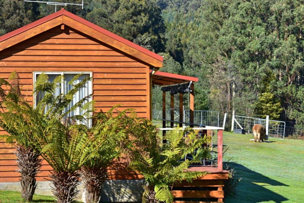 Zahrada ubytování Maydena Mountain Cabins