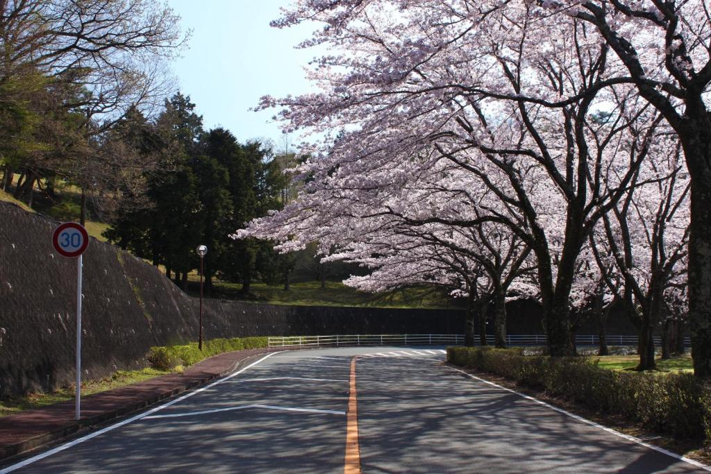 Hotel Laforet Shuzenji