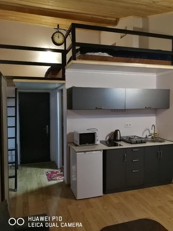 Kuchyň nebo kuchyňský kout v ubytování Gudauri S Residence