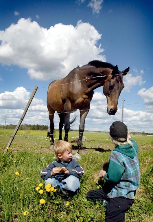 Zvířata v farmy nebo okolí