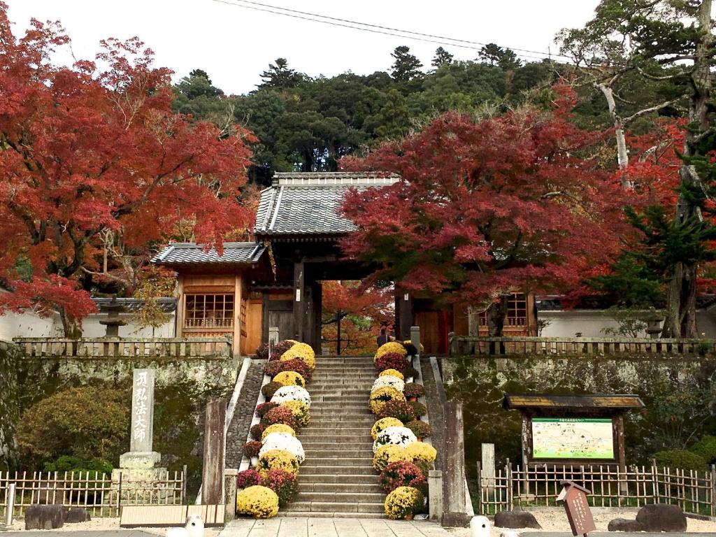 Zahrada ubytování TORUS 修善寺 Condominium 貸切宿