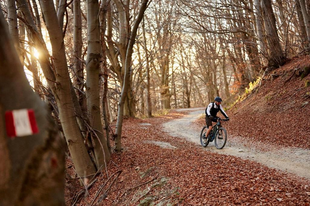 Jazda na bicykli v okolí ubytovania Residence Sant'Anna