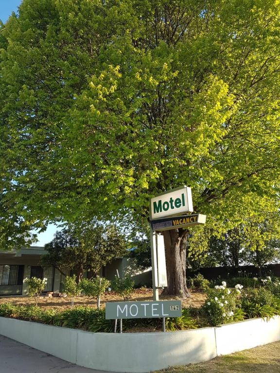 a motel sign in front of a tree at Holbrook SKYE Motel in Holbrook