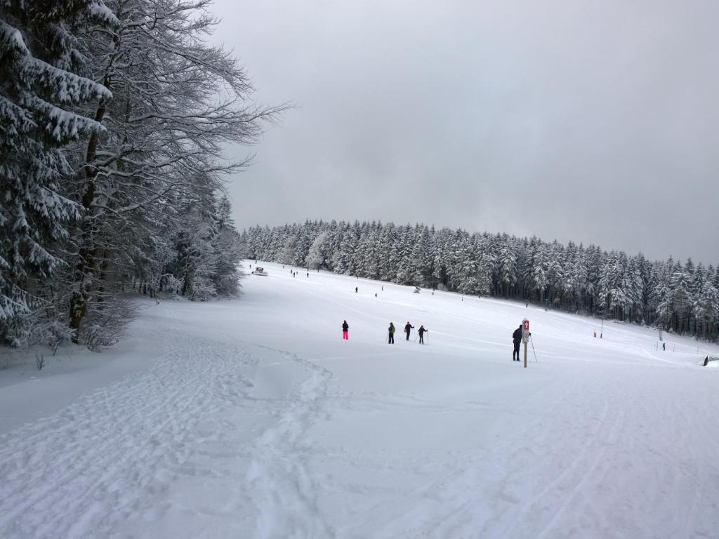Panoramaferienwohnung Bergwiese v zimě