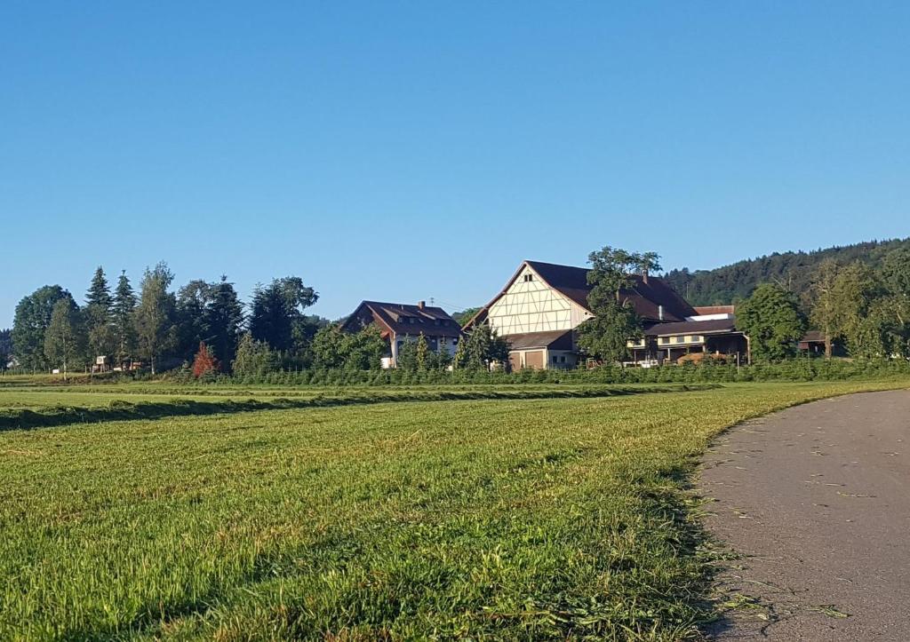 a field of green grass next to a house at Ferienhof Hanssler in Wilhelmsdorf