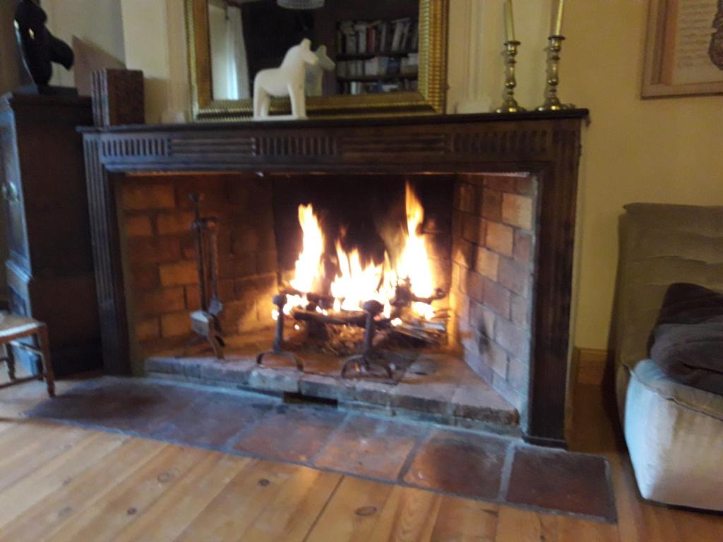 a fireplace with flames in a living room at Chambres d'hôtes Belle Occitane in Tarascon-sur-Ariège