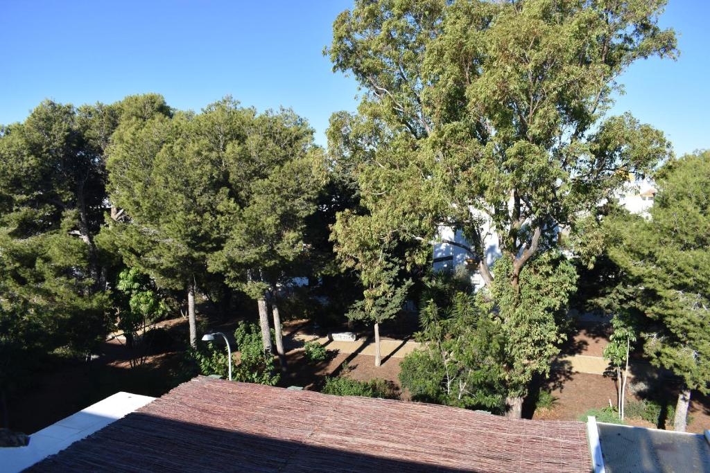 Ogród w obiekcie Apartamento en zona Atalaya con garaje y WIFI