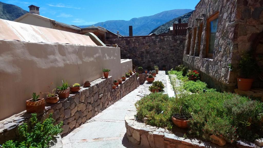 une cour avec des plantes en pot sur le côté d'un bâtiment dans l'établissement Del Amauta Hosteria, à Purmamarca