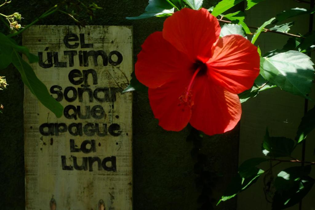  Casa Kokoro -Pousada-