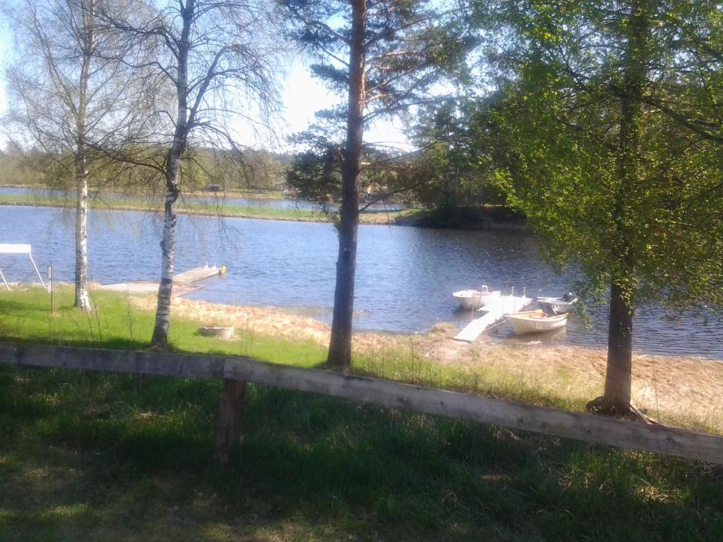Příroda nedaleko kempu