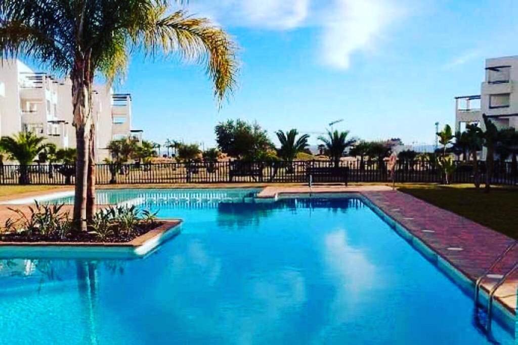 une grande piscine bleue avec un palmier dans l'établissement Las Terrazas de La Torre Golf Resort 55, à Las Pedreñas