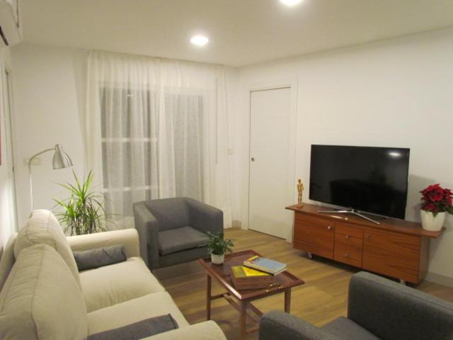 Televízia a/alebo spoločenská miestnosť v ubytovaní Apartamento La Hiedra