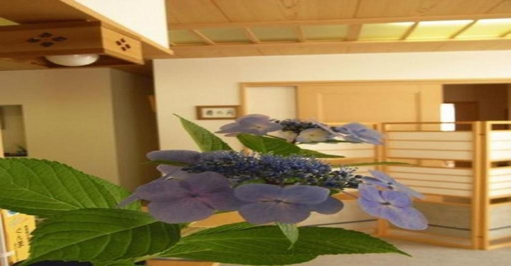 eine Pflanze mit lila Blumen in einem Zimmer in der Unterkunft Ichigekan / Vacation STAY 8476 in Nakanojo
