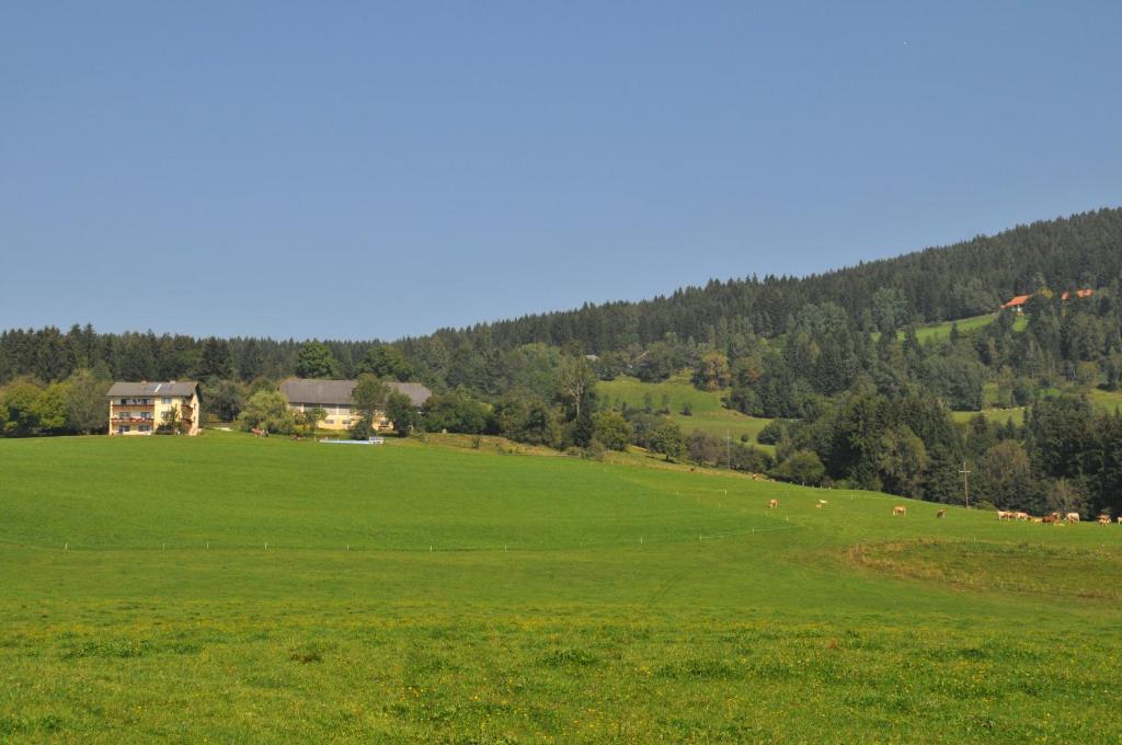 Liebenfels – Photos 5