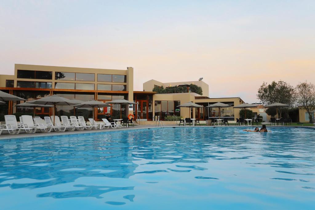 une personne nageant dans une grande piscine dans l'établissement Casa Andina Standard Chincha, à Chincha Alta