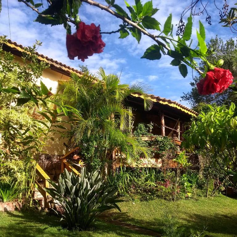 a house in the middle of a garden at Jardim das orquídeas in Mucugê