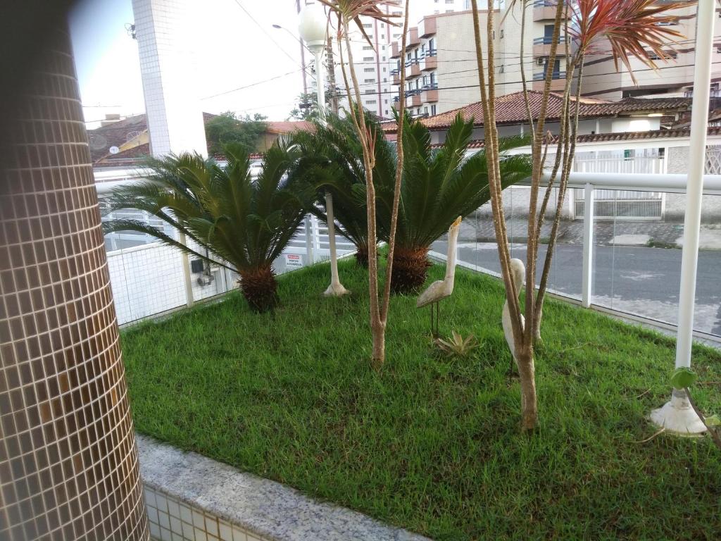  Praia Castelo Caiçara