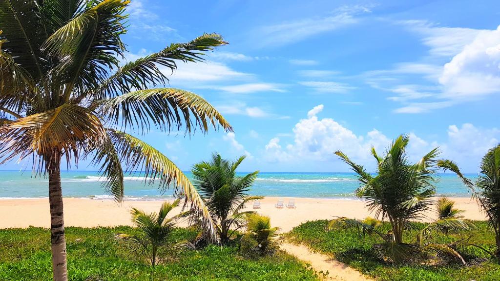una playa de arena con palmeras y el océano en Linda Casa de Praia em Itacimirim, en Itacimirim