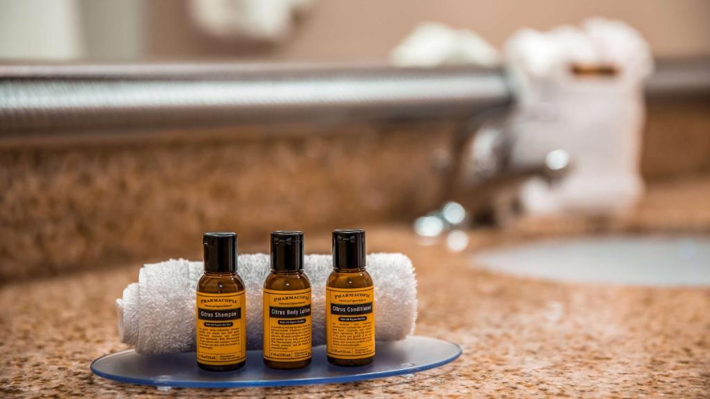 Best Western Plus Bradenton Hotel & Suites - King Suite Met Bankbed En Spa -bad