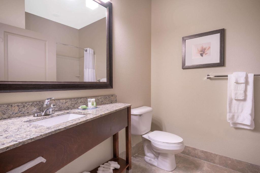 AmericInn by Wyndham Windom - One-Bedroom King Suite With Sofa Bed - Non-Smoking