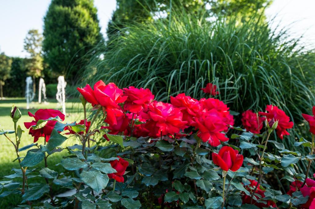 ミラーノにあるLa Casa di Lindaの庭の赤いバラ束