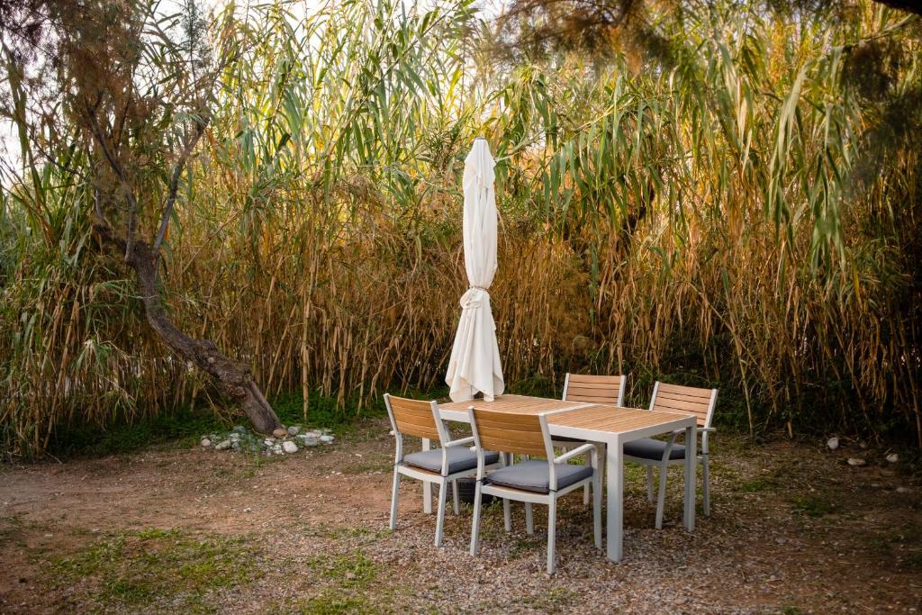 Camping Elizabeth - 11