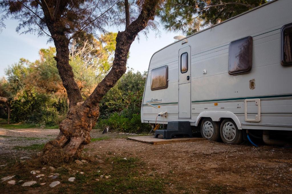 Camping Elizabeth - 12