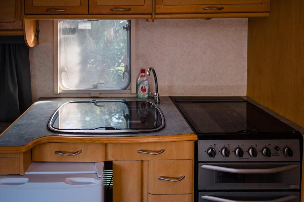 Camping Elizabeth - 9