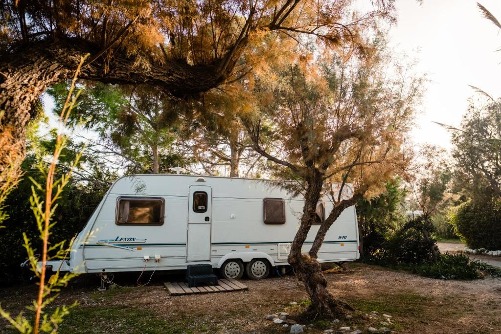 Camping Elizabeth - 8