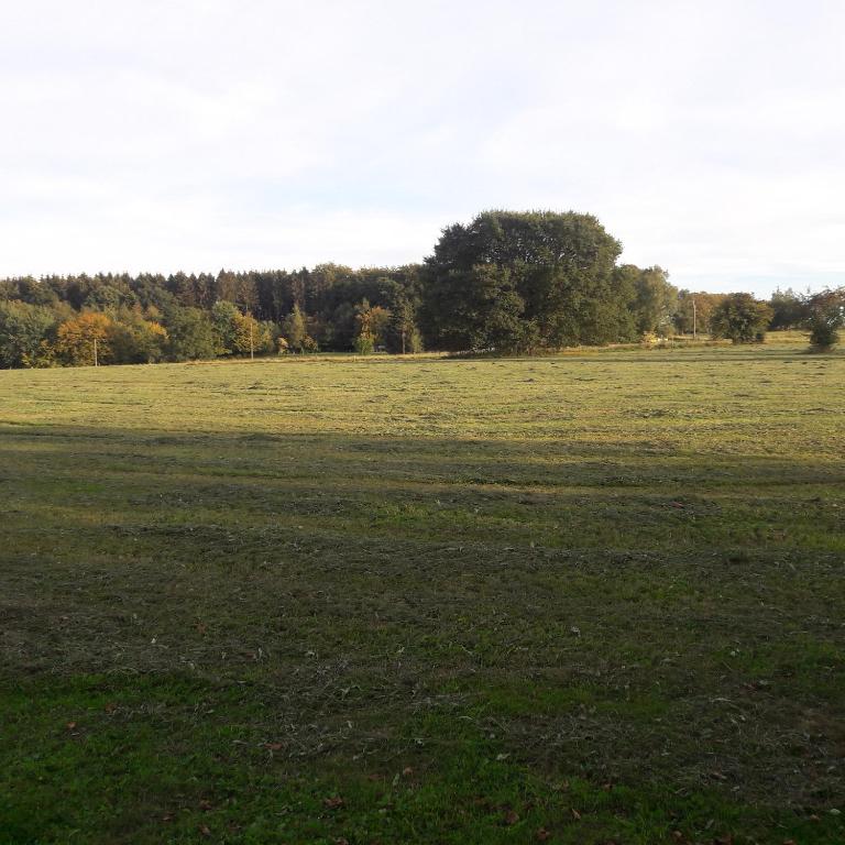 Příroda nedaleko penzionu