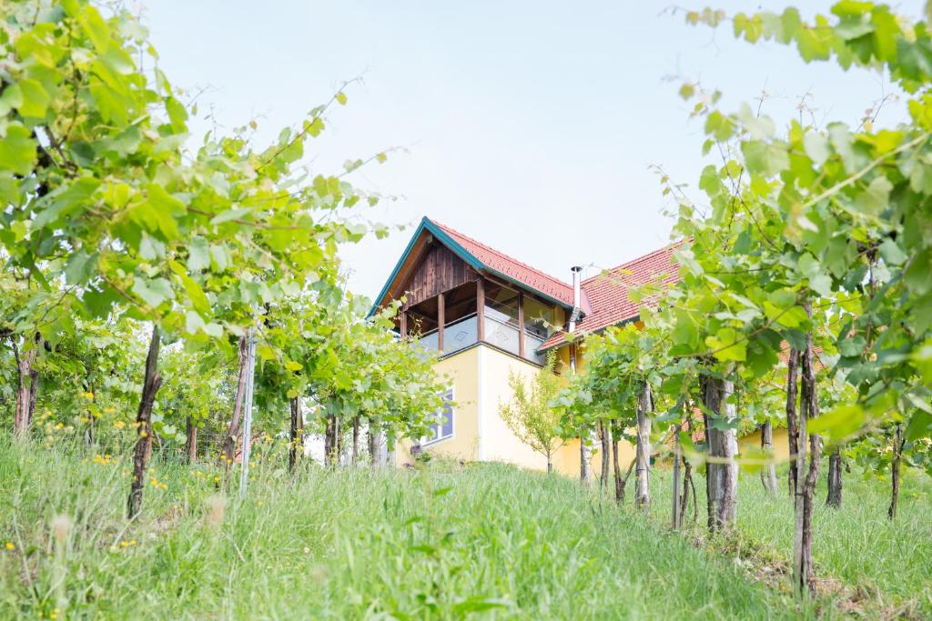 Vonkajšia záhrada v ubytovaní Buschenschank Ofnerpeter