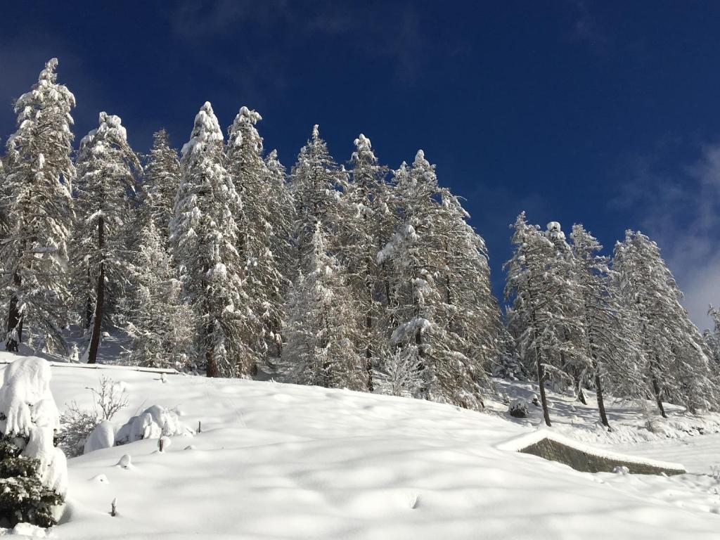 Ferienwohnung Lenzerheide - Lain pozimi
