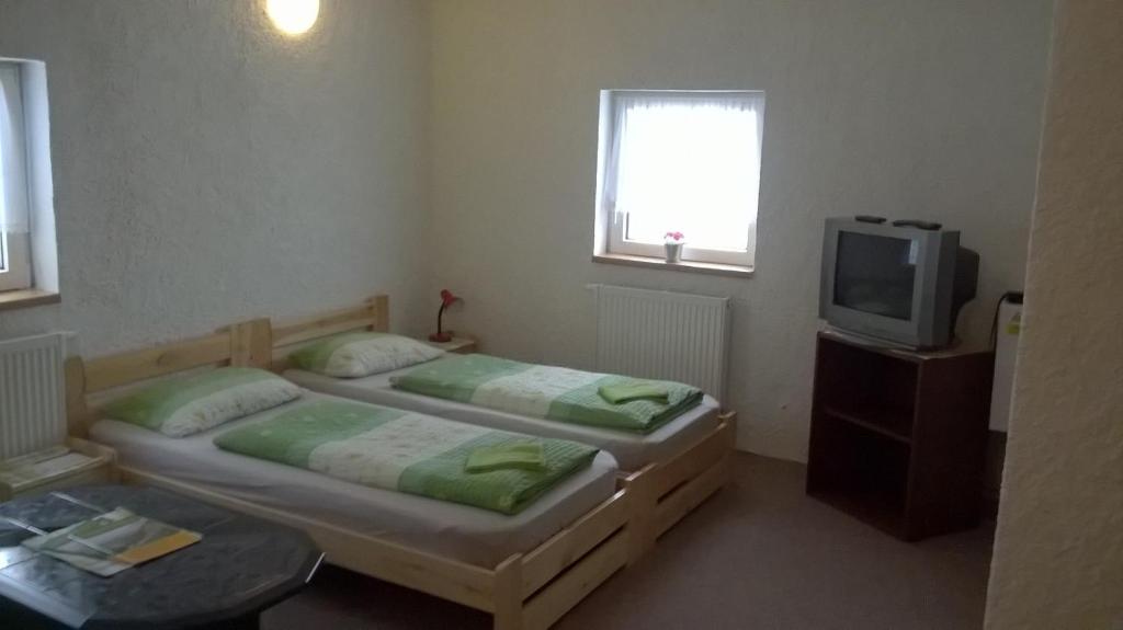 1 dormitorio con 2 camas y TV en Guest House Honzik en Horní Maršov
