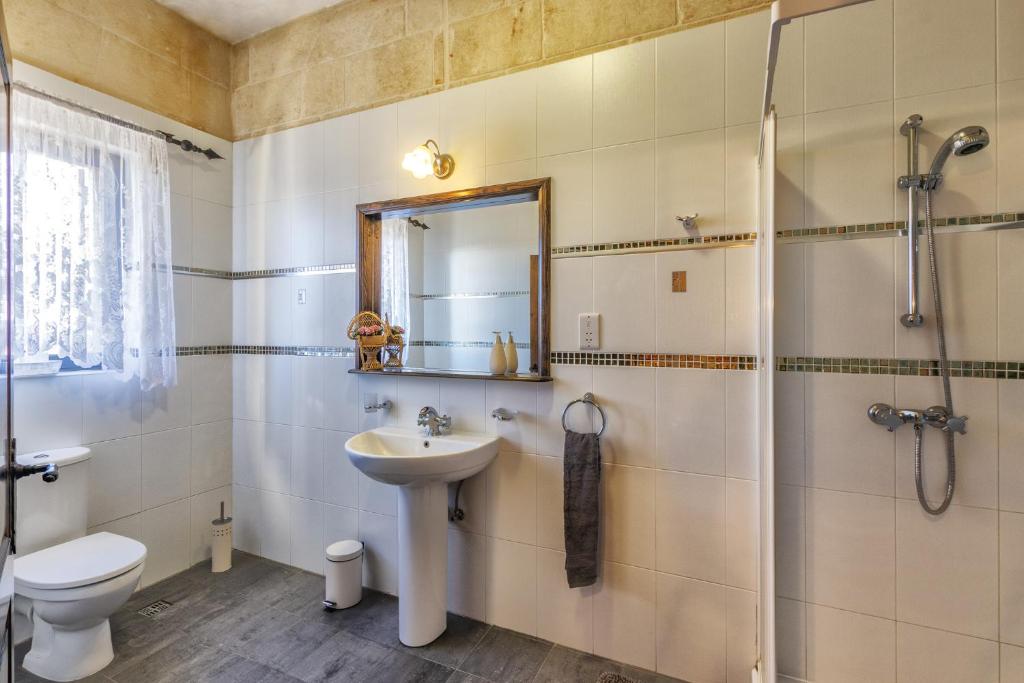 a bathroom with a toilet and a sink and a shower at Ghajn Damma in Xagħra