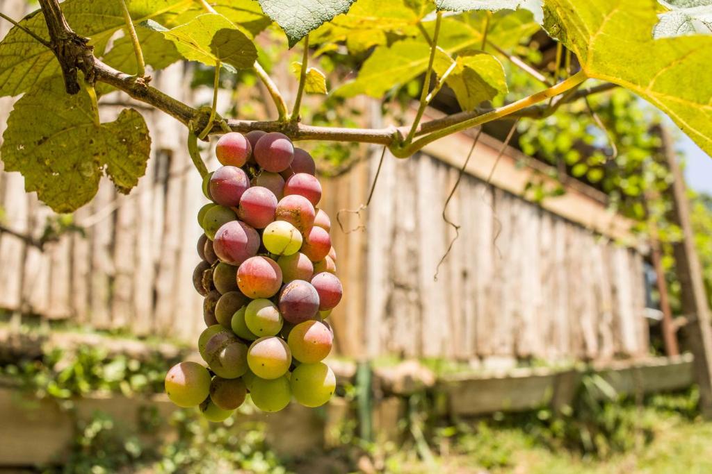  Casa em CondomÍnio Fechado com Vista para Lagoa
