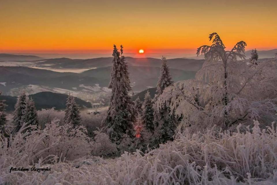 a winter sunrise in the mountains with snow covered trees at CZARNY POTOK STUDIO in Krynica Zdrój