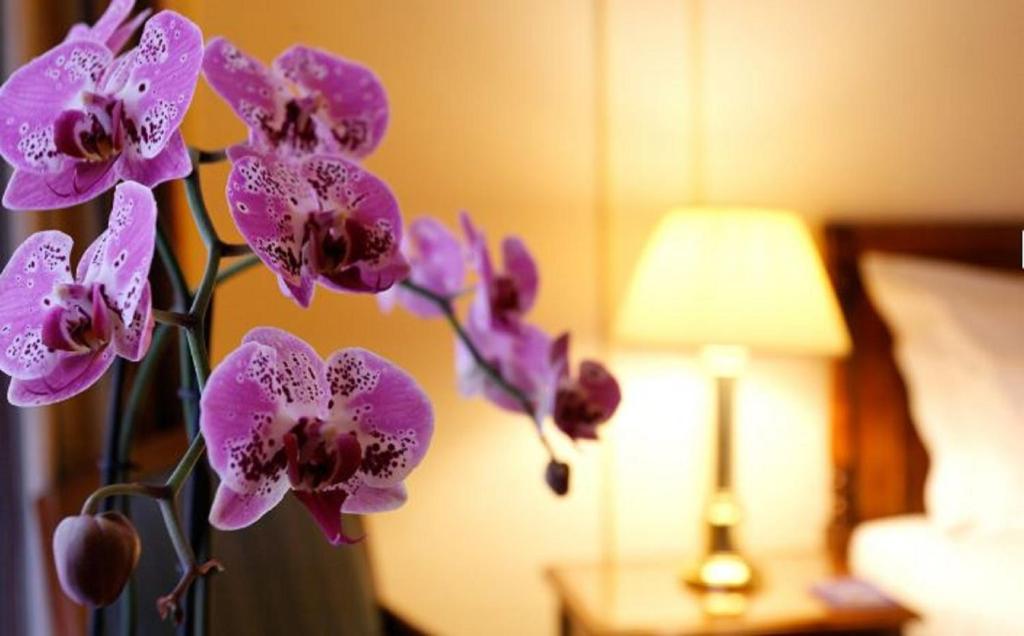 Hotel Le Plaza Brussels - Resim 37