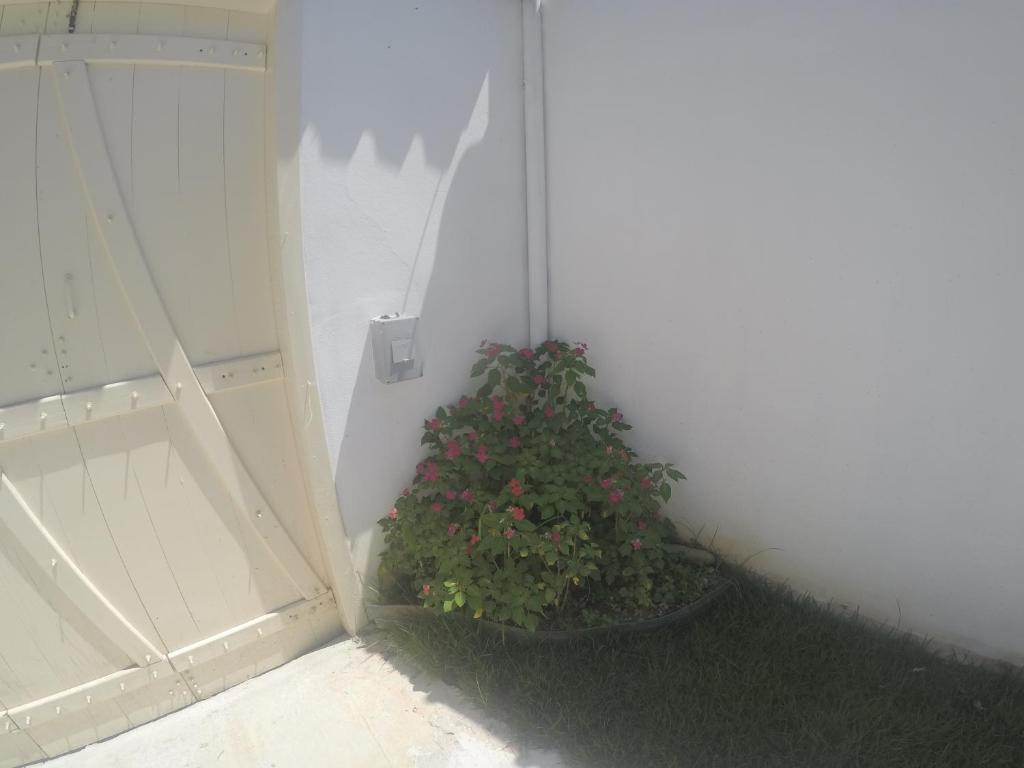  Residencial Flor De Ipê