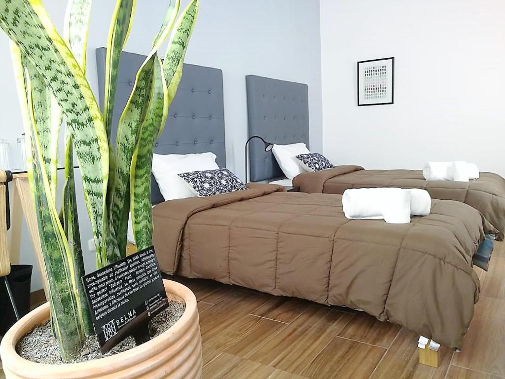 Belma Boutique Bed and Breakfast - Camera Doppia Con Bagno Privato