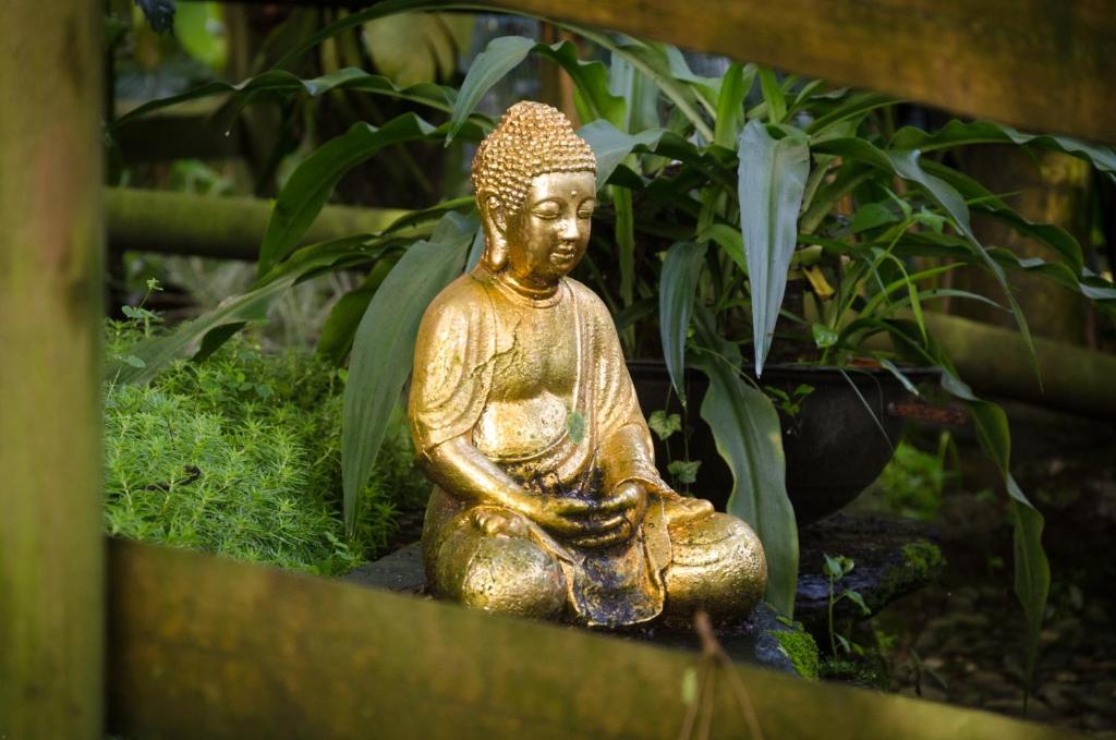 Zahrada ubytování The Secret Buddha